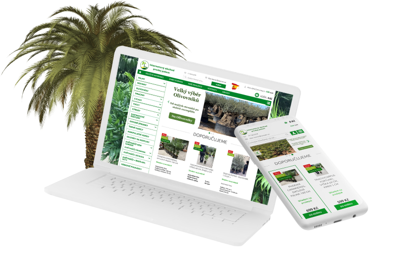E-shop Palmy a Cycasy